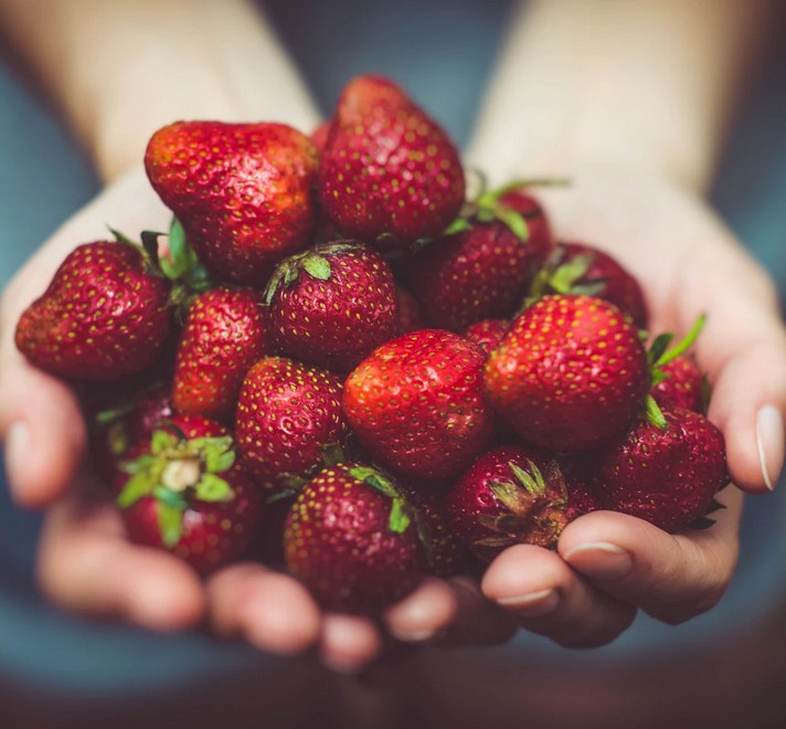 alimentation-bien-etre