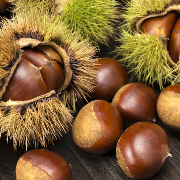 Pourquoi Appelle t on Les Chataignes Des Marrons Châtaignes et marrons, fruits de saison ! - Magazine Omnicuiseur