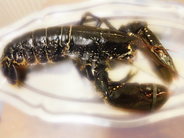 Homard au court bouillon à L'Omnicuiseur Vitalité